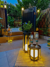 The Meridian Planter Lamp