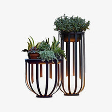 The Meridian Planter Lamp