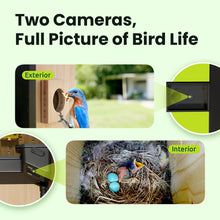 Birdfy Nest Duo - Smart Bird House with Dual Cameras