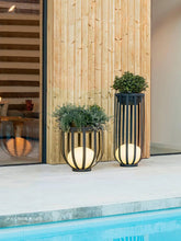 The Meridian Planter Lamp
