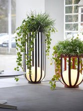 The Meridian Planter Lamp