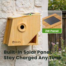 Birdfy Nest Polygon - Smart Birdhouse with Camera, Brown