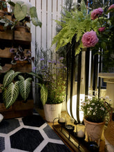 The Meridian Planter Lamp