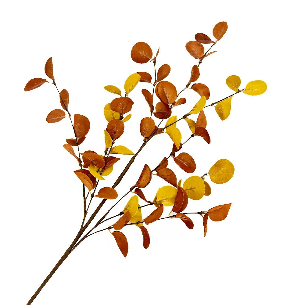 Rust Eucalyptus Stems — Set of 5