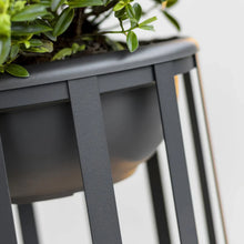 The Meridian Planter Lamp