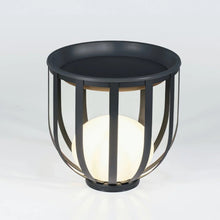 The Meridian Planter Lamp