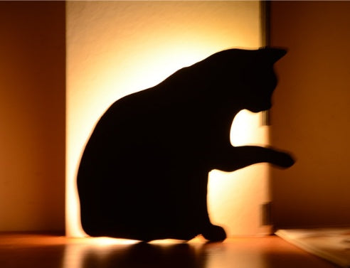 Animal Sound-Sensor Night Light