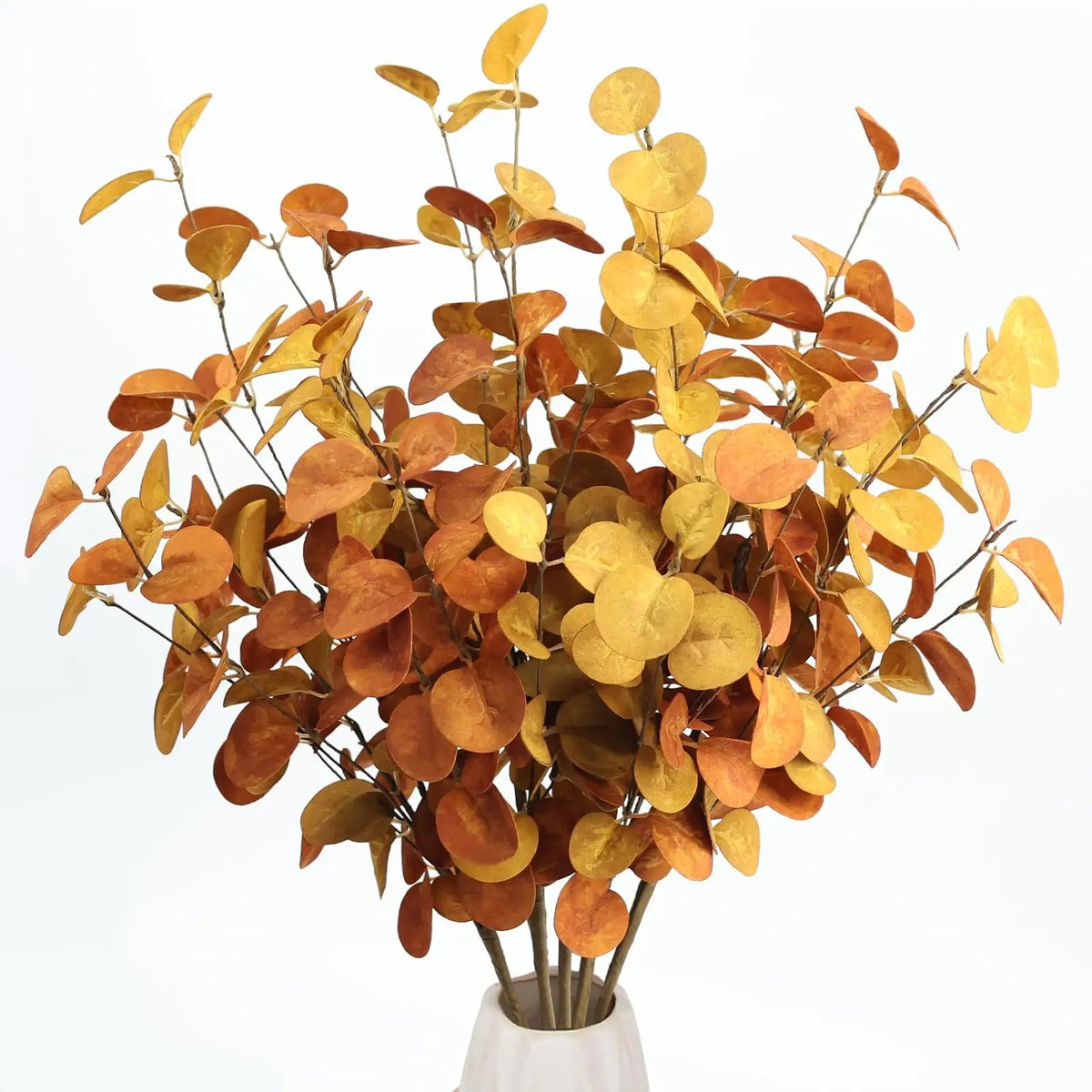 Rust Eucalyptus Stems — Set of 5