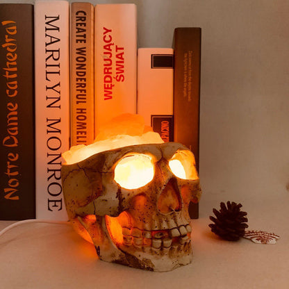 Skull Salt Crystal Accent Lamp