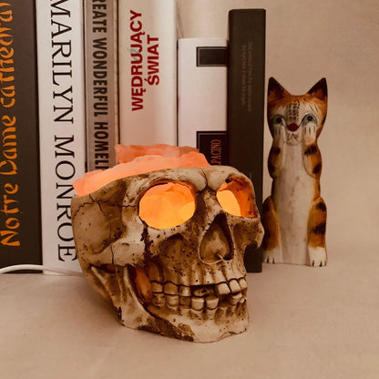 Skull Salt Crystal Accent Lamp
