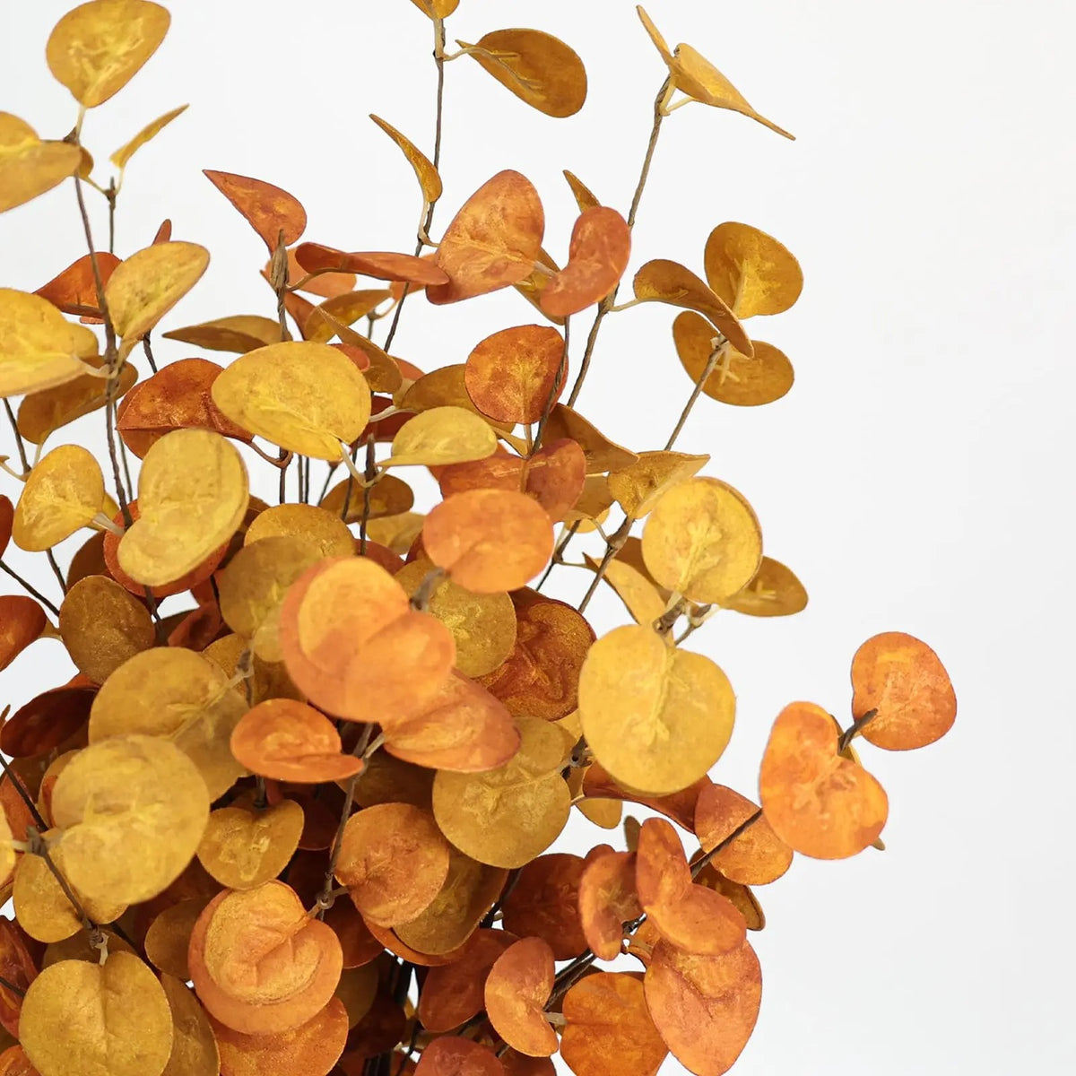 Rust Eucalyptus Stems — Set of 5