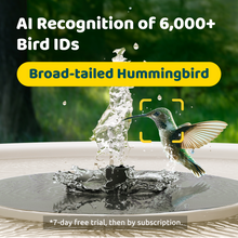 Birdfy Bath Pro - Solar-Powered Smart Birdbath with Fountain