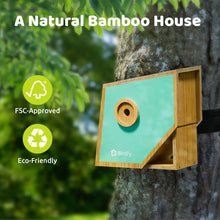 Birdfy Nest Polygon - Smart Birdhouse with Camera
