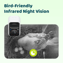 Birdfy Nest Polygon - Smart Birdhouse with Camera