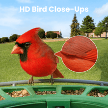 Birdfy Feeder 2 - Smart Bird Feeder