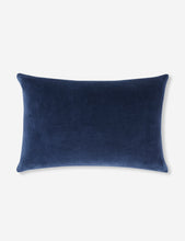 Pure Velvet Pillow
