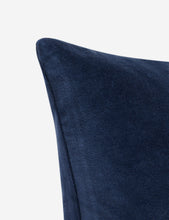 Pure Velvet Pillow