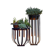 The Meridian Planter Lamp