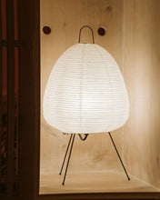 Harmony Akari Paper Lamp
