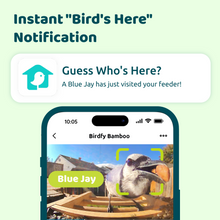 Birdfy Feeder Bamboo - Smart Bird Feeder with Eco-friendly Material