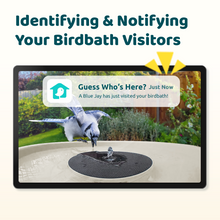 Birdfy Bath Pro - Solar-Powered Smart Birdbath with Fountain
