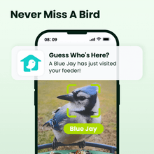 Birdfy Feeder 2 Pro - Dual-Lens Smart Bird Feeder with Camera