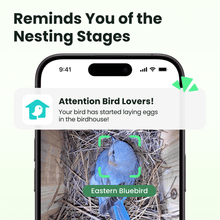 Birdfy Nest - Wooden Smart Birdhouse with Camera
