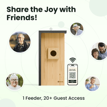 Birdfy Nest - Wooden Smart Birdhouse with Camera