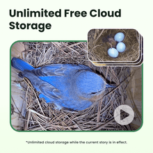 Birdfy Nest - Wooden Smart Birdhouse with Camera