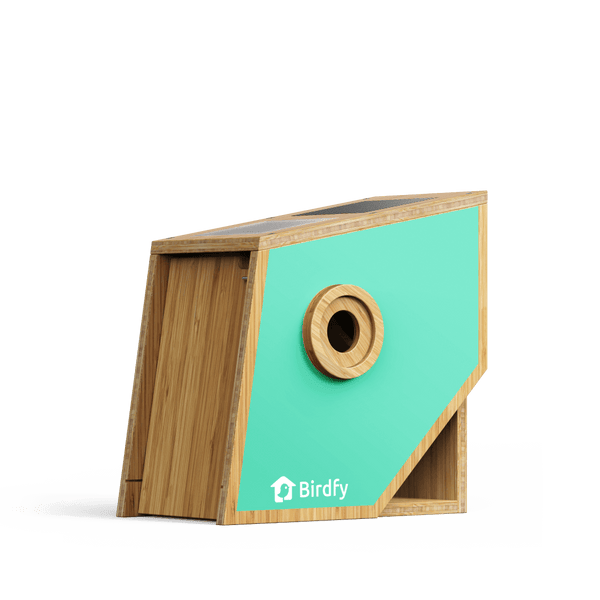 Birdfy Nest Polygon - Smart Birdhouse with Camera