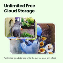 Birdfy Nest Duo - Smart Bird House with Dual Cameras