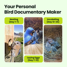 Birdfy Nest Duo - Smart Bird House with Dual Cameras