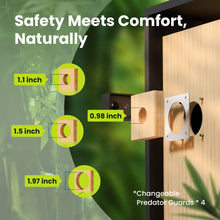 Birdfy Nest Duo - Smart Bird House with Dual Cameras