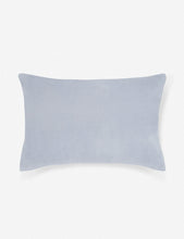 Pure Velvet Pillow