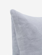 Pure Velvet Pillow