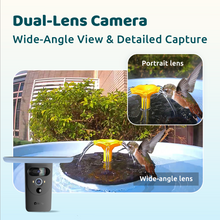 Birdfy Bath Pro - Solar-Powered Smart Birdbath with Fountain