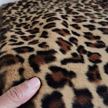 Leopard Blanket