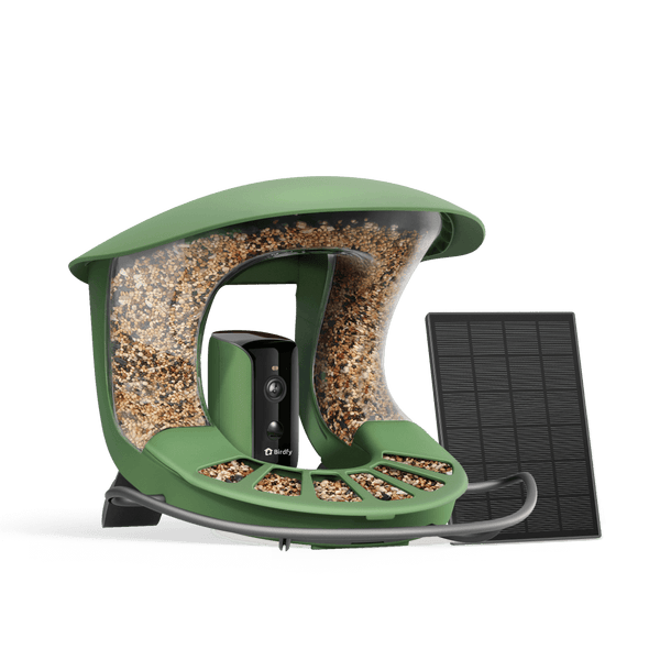 Birdfy Feeder 2 - Smart Bird Feeder