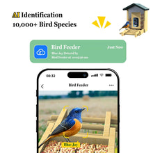 The Ornithologist’s Lens: 5MP Smart Solar Bird Feeder with AI Species Recognition
