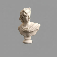 Apollo Bust
