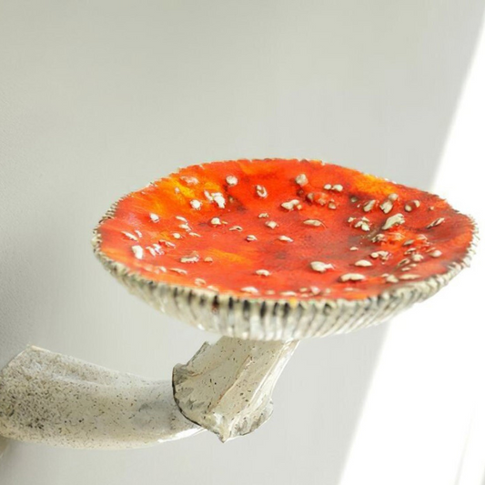 Mycelium Wall Shelf – floating mushroom shelves in resin – STUDIO GONKA