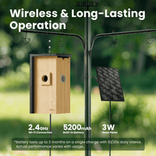 Birdfy Nest - Wooden Smart Birdhouse with Camera