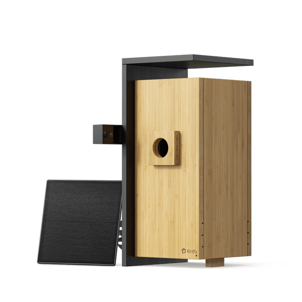 Birdfy Nest Duo - Smart Bird House with Dual Cameras