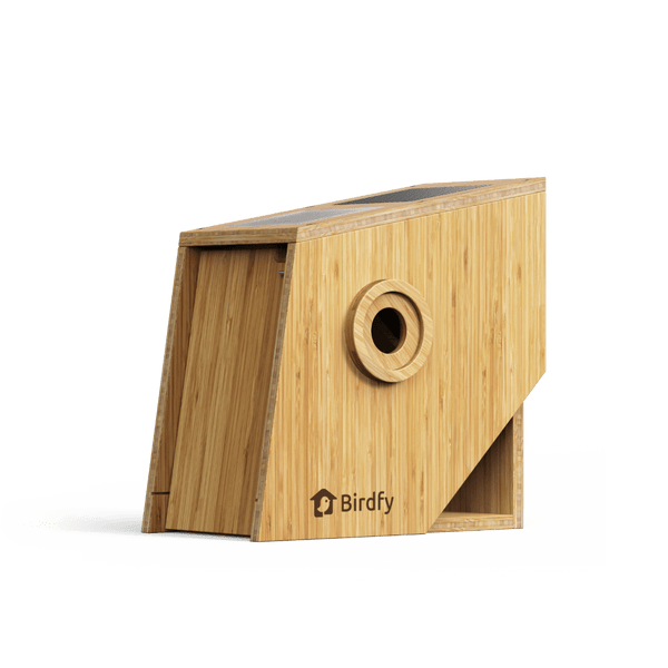 Birdfy Nest Polygon - Smart Birdhouse with Camera, Brown