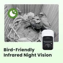 Birdfy Nest Polygon - Smart Birdhouse with Camera, Brown