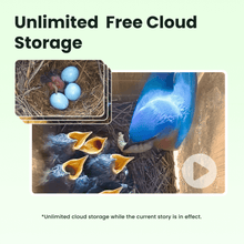 Birdfy Nest Polygon - Smart Birdhouse with Camera, Brown