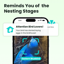 Birdfy Nest Polygon - Smart Birdhouse with Camera, Brown