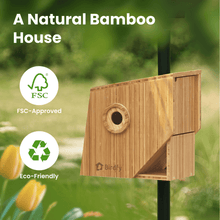 Birdfy Nest Polygon - Smart Birdhouse with Camera, Brown