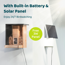 Birdfy Feeder Bamboo - Smart Bird Feeder with Eco-friendly Material