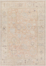 Marlene Damask Blush Area Rug - Becki Owens x Livabliss